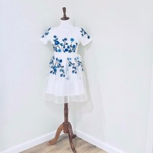 Beautiful Tulle Overlay Dress w Blue Embroidery